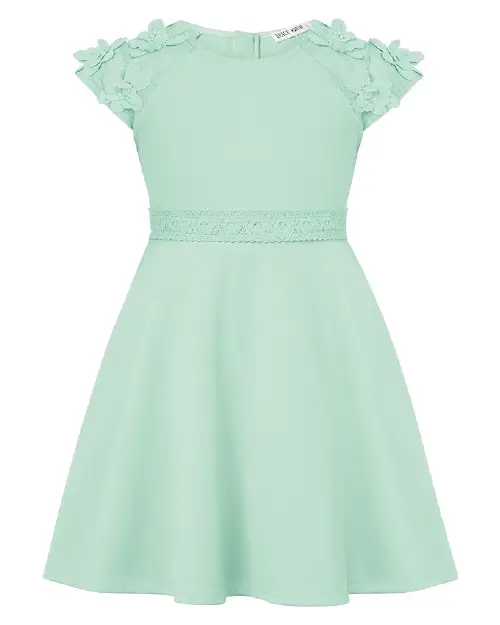 Solid mint green flora dress featuring short cap sleeves with 3D floral appliqués and a lace-trimmed waistline.